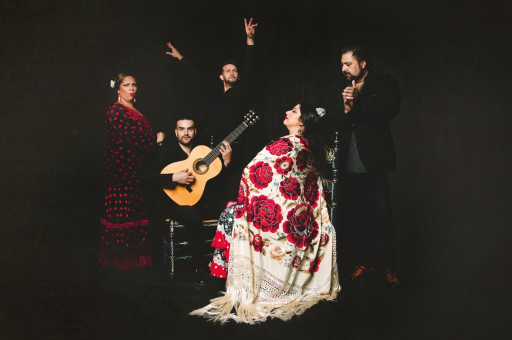 Show Flamenco en Granada