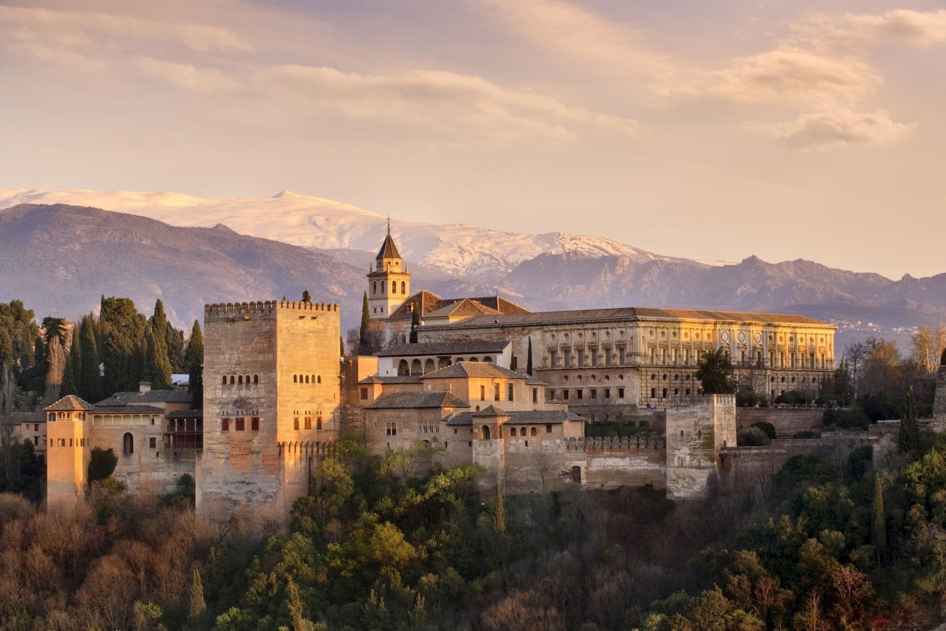 OFFER Alhambra + Albaicín and Sacromonte