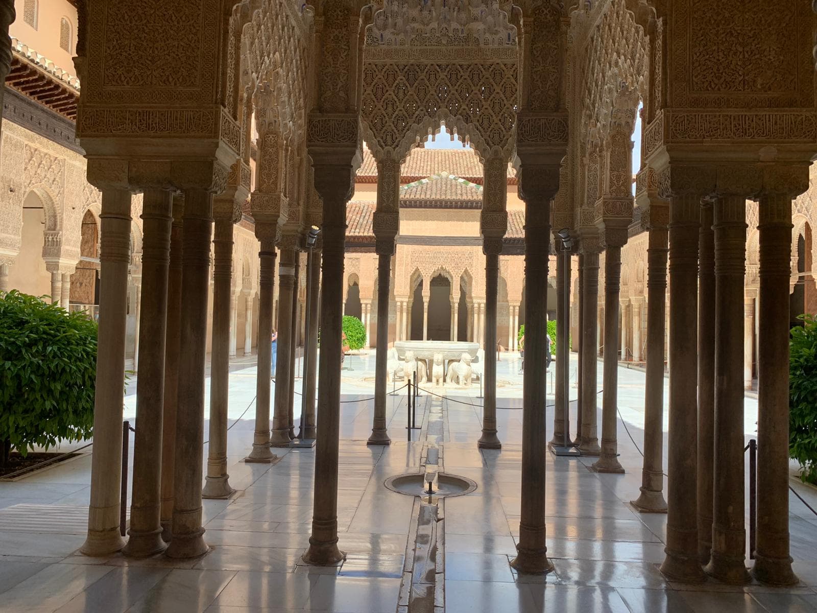 Alhambra guided tour with Nasrid palaces