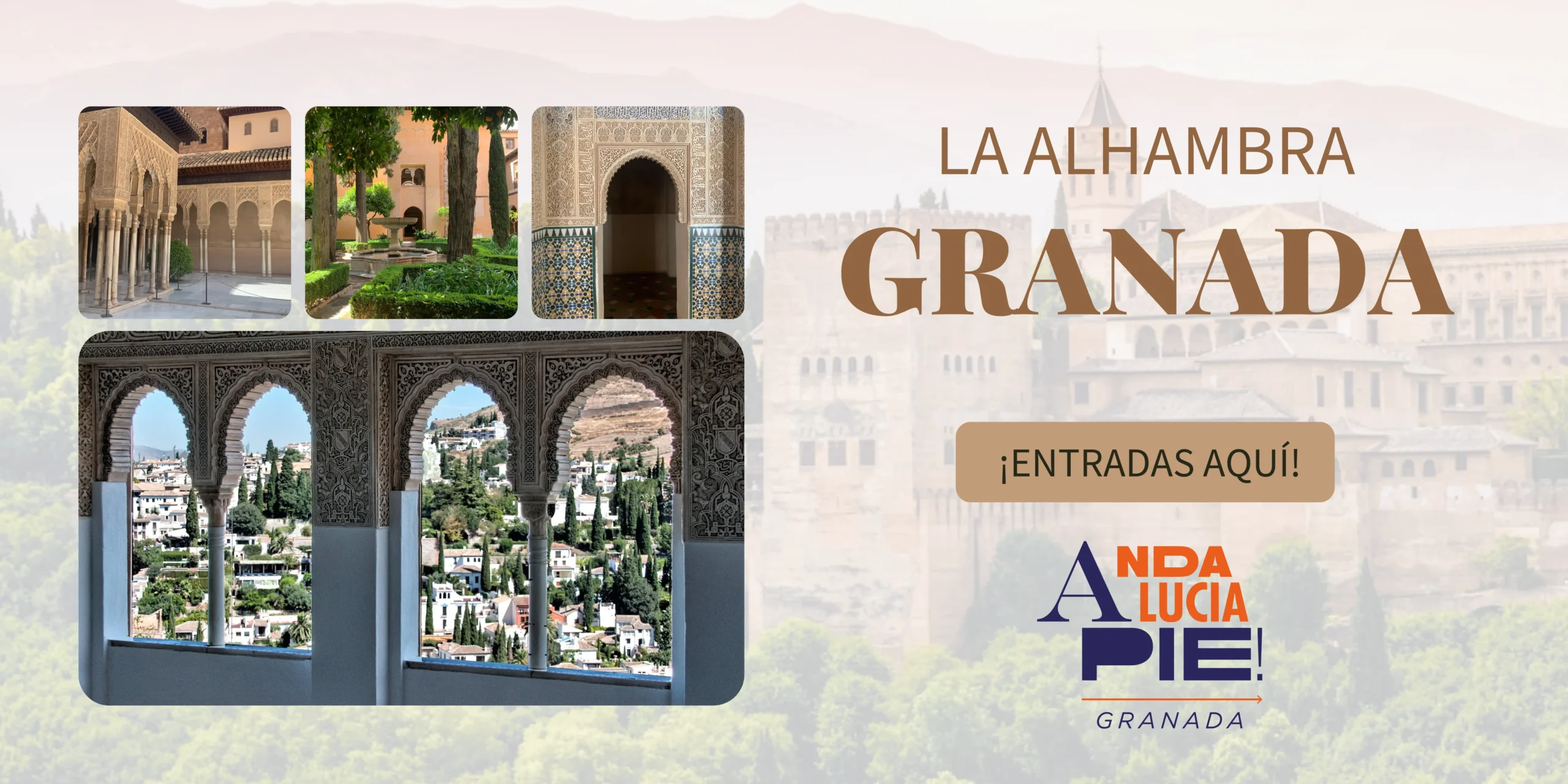 tours alhambra granada